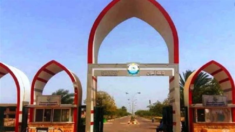 جامعة أسوان