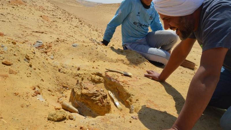 فريق سلام لاب