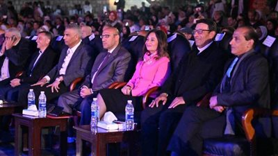 وزير الثقافة: 14 فرقة عربية وأجنبية تشارك في مهرجان أسوان للفنون 