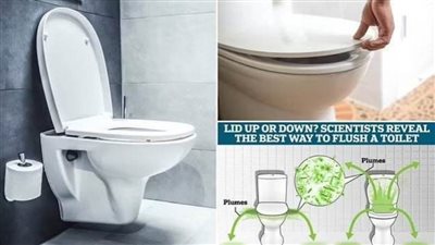 تحذير عاجل عما يحدث إذا لم تغلق غطاء المرحاض أثناء سحب السيفون