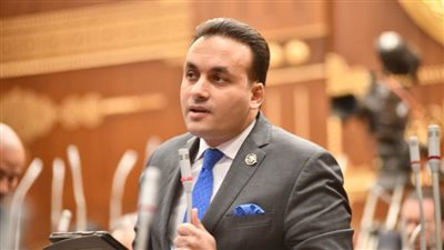 النائب عمرو فهمي: القمة العربية الطارئة بمصر تسعى لتوحيد الموقف العربي لدعم فلسطين