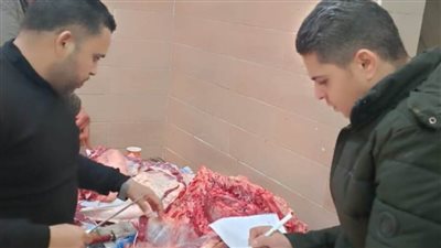 تسليم الدفعة الأولي من لحوم مبادرة 