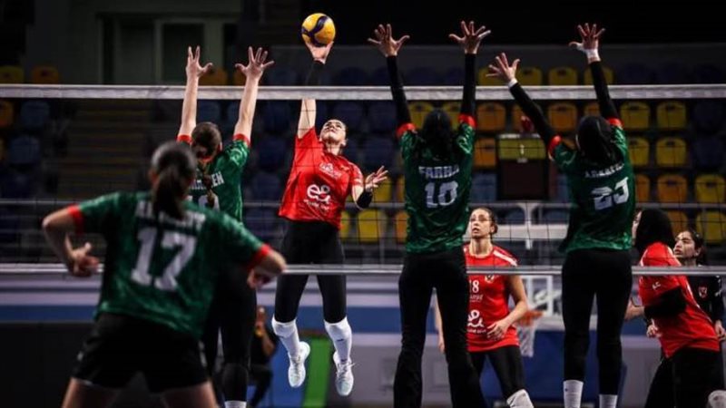 بوابة روز اليوسف