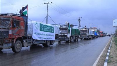 وصول 34 قافلة إغاثية سعودية جديدة إلى جنوب قطاع غزة   