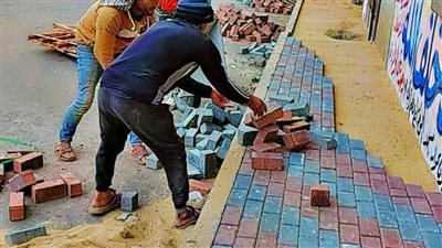  بالصور.. محافظ الغربية: تطوير شارع 