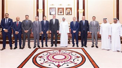 تعاون مصري إماراتي في مجال البترول والطاقة