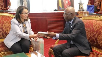 السفيرة المصرية في الجابون تلتقي رئيس مجلس النواب الانتقالي  