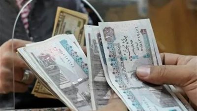 زيادة المرتبات والمعاشات 2025.. موعد الصرف ورابط الاستعلام