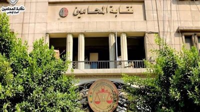 المحامين تقرر صرف معاشات شهر مارس اليوم الخميس.. و500 جنيه منحة استثنائية بمناسبة شهر رمضان