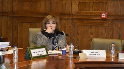 برلمانية: حزمة قرارات الحماية الاجتماعية تؤكد حرص القيادة السياسية على دعم الفئات الأولى بالرعاية