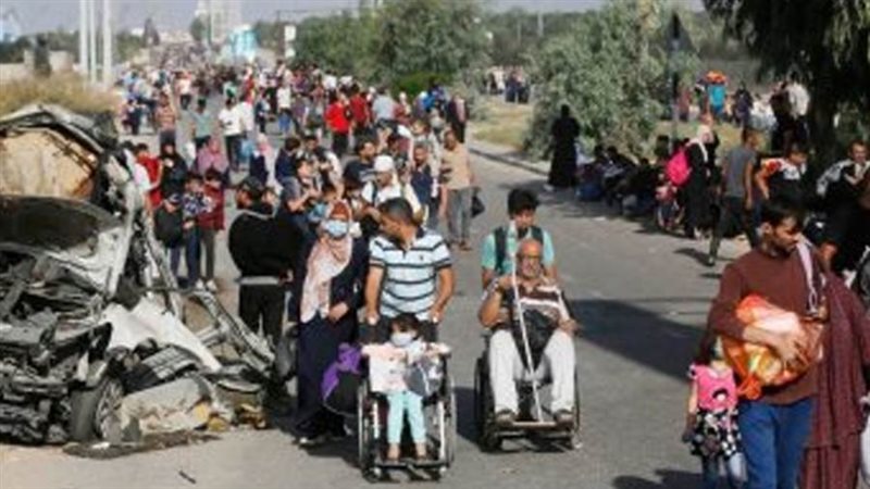 بوابة روز اليوسف