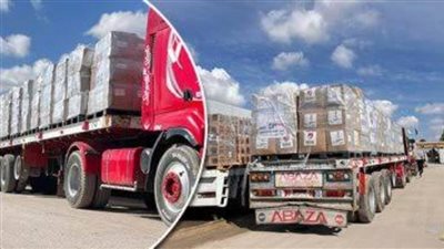 إدخال 250 شاحنة مساعدات لغزة واستقبال 43 مصابا و65 مرافقًا فلسطينيًا