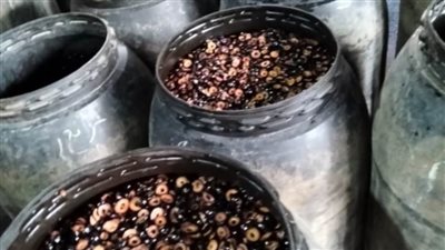 ضبط مصنع مخللات بالقاهرة 