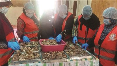 القومي للمرأة بأسوان يطلق مبادرة 