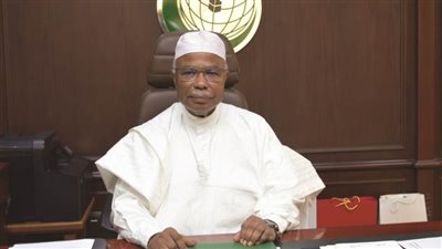 الأمين العام لمنظمة التعاون الإسلامي يستقبل المندوب الدائم الجديد لدولة فلسطين