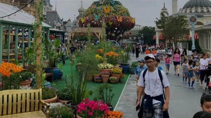 السياحة في كوريا