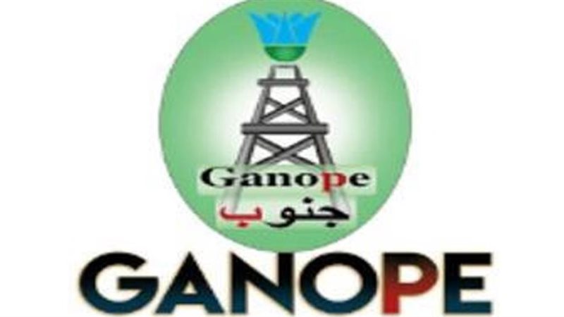 شركة جنوب الوادي