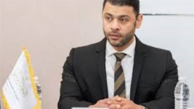 المهندس أحمد حلمي