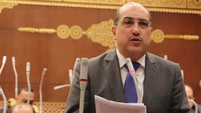 رئيس برلمانية الشعب الجمهوري بالشيوخ: الطاقة المتجددة تنهي أزمة رفع أسعار الكهرباء