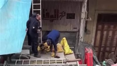 الحماية المدنية تنقذ كلبًا علق في عقار ببورسعيد أثناء محاولته لقاء حبيبته