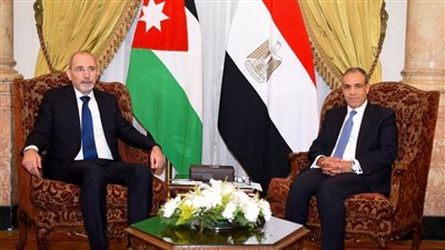 وزير الخارجية ونظيره الأردني يؤكدان الرفض القاطع لتهجير الفلسطينيين