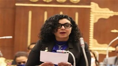 عضو بالشيوخ.. قمة القاهرة: الفرصة الأخيرة لعمل عربي مشترك دعما للقضية الفلسطينية