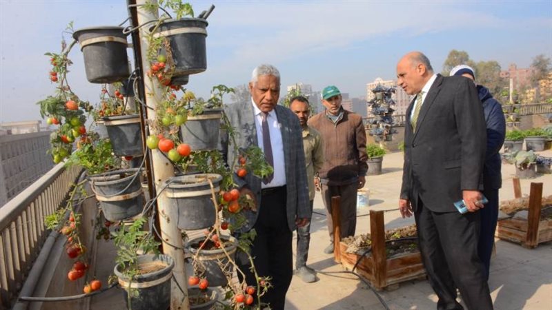 زراعة الأسطح بجامعة