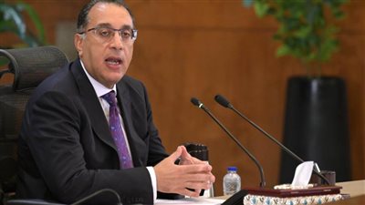 عاجل| بعد أحمد محمد أبوزيد البسطويسي.. 7 شروط لإسقاط الجنسية المصرية