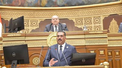 عضو مجلس الشيوخ: البيان الختامي للقمة العرب يدعم القضية الفلسطينية والسلام