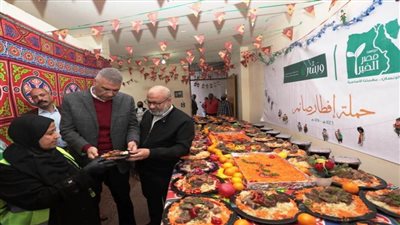 محافظ أسوان يتفقد 