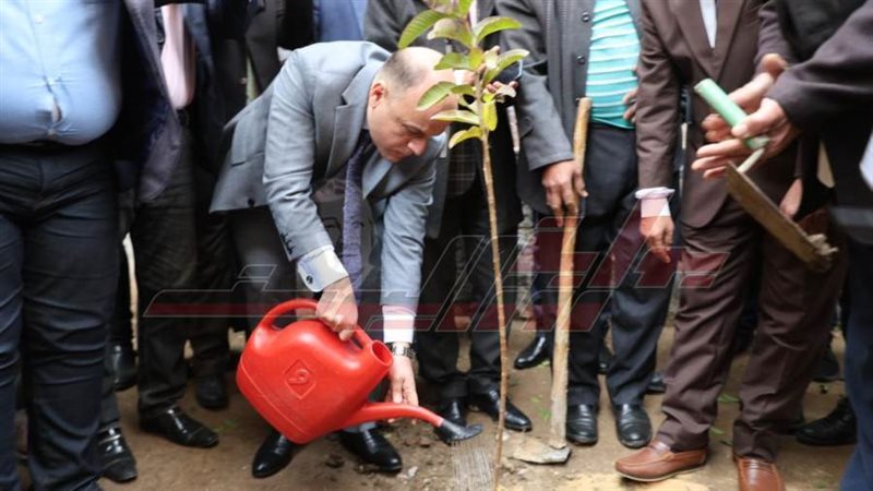 زراعة الأشجار