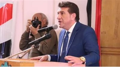 عماد حمدي : متمسكون بثوابت الموقف العربي الرافض لتهجير الشعب الفلسطيني