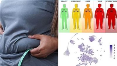 عاجل.. اكتشاف 