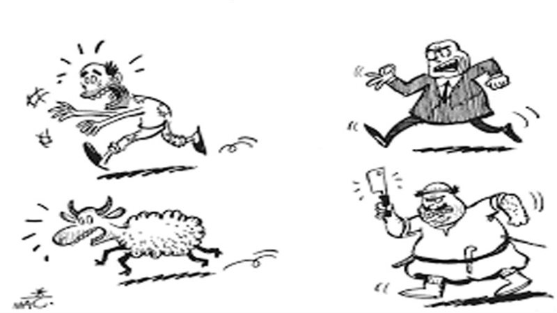 بوابة روز اليوسف