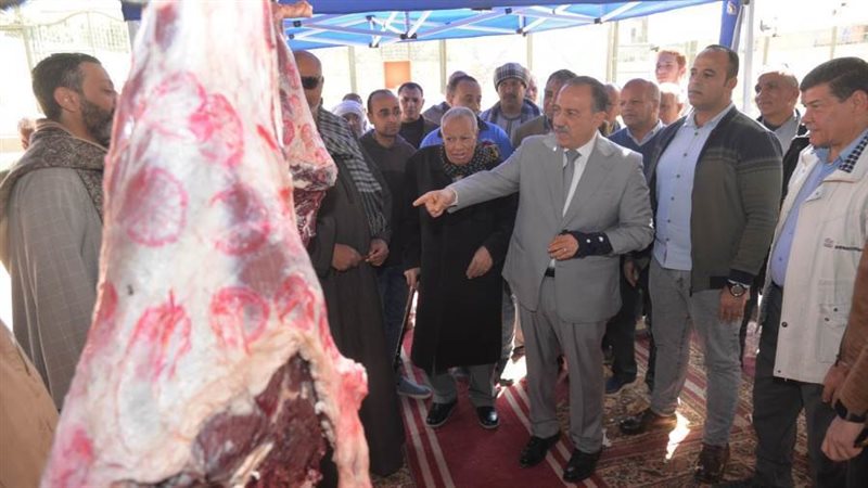 جانب من المعرض