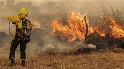 اليابان: السيطرة على حرائق الغابات المستعرة في 