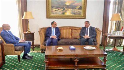 عاجل..وزير الخارجية والهجرة يؤكد أهمية الدور المحوري والوطني الذي يضطلع به الإعلام المصري