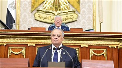 مجلس النواب يوافق على اتفاقية نقل المحكوم عليهم بعقوبات سالبة للحرية بين حكومتي مصر والإمارات 