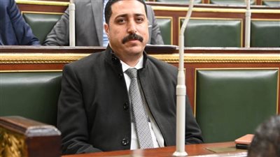 برلماني: كلمة الرئيس السيسي في الندوة التثقيفية تعكس تقديراً وتخليداً للشهداء 