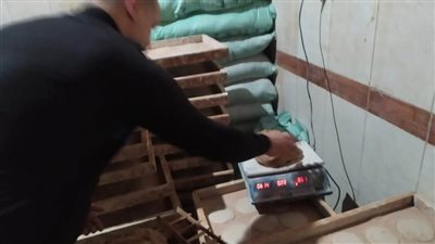  بالصور.. محافظ الغربية: حملات تفتيشية مكثفة لضبط الأفران وضمان جودة الخبز