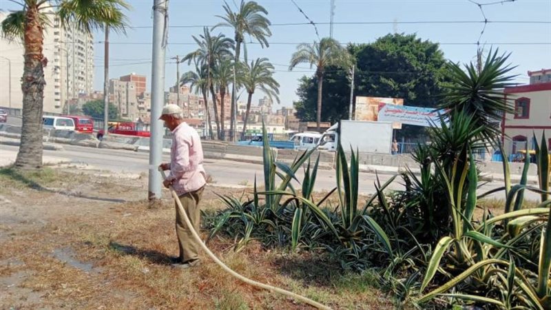 رئيس حي غرب تتابع