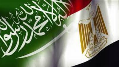 مصر تؤكد أهمية الحلول السياسية للأزمات الدولية