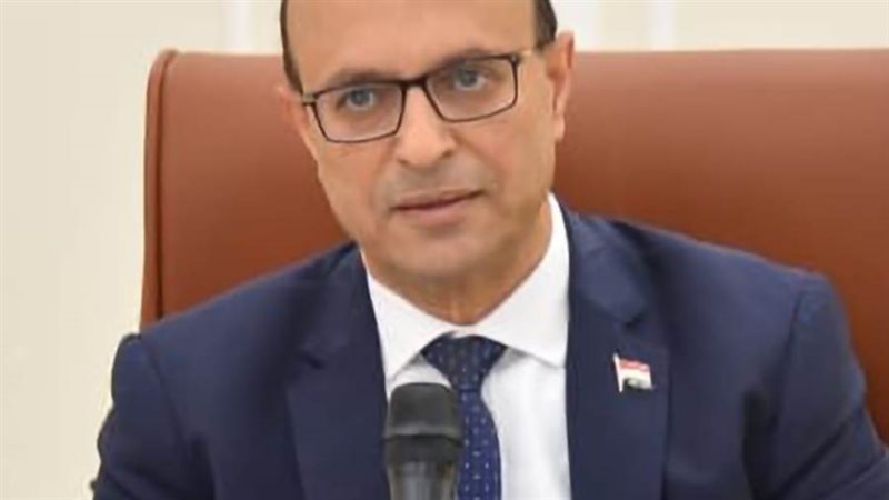 الدكتور أحمد المنشاوي