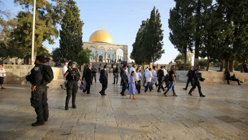 قوات الاحتلال الإسرائيلي