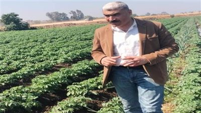  بالصور.. وكيل زراعة الغربية يتفقد الزراعات الشتوية في مركزي 
