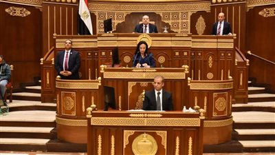 مجلس الشيوخ يناقش مستقبل سياسات الحماية الاجتماعية