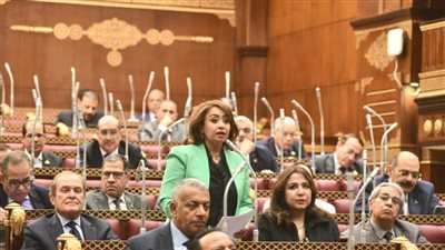 باستراتيجية وطنية شاملة.. رشا إسحاق: تعزيز الحماية الاجتماعية ضرورة لتحقيق العدالة والتنمية المستدامة