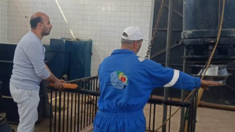 بوابة روز اليوسف