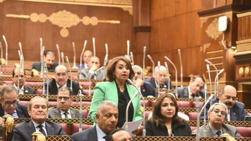 النائبة رشا اسحق