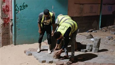  بالصور.. تطوير قرية 